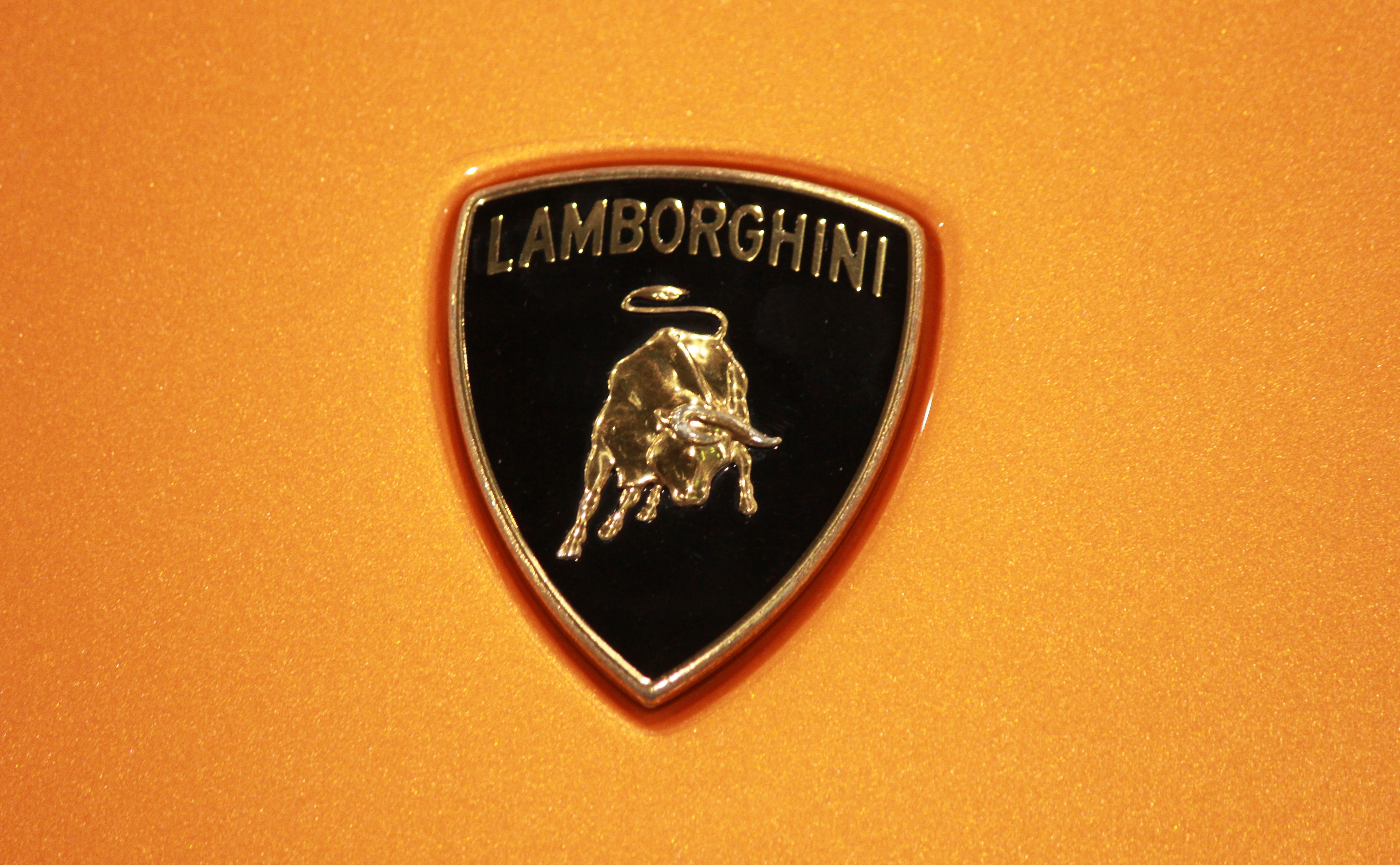 Photo of the Lamborghini logo with a orange background